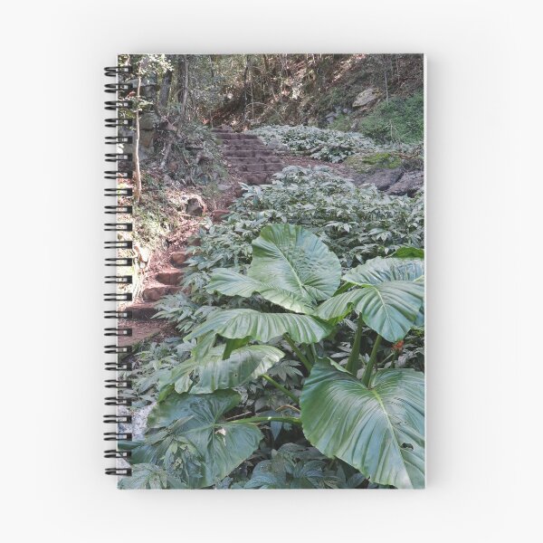 Item preview, Scenic Route, Bunya Mountains designed and sold by Geoff Treagus.