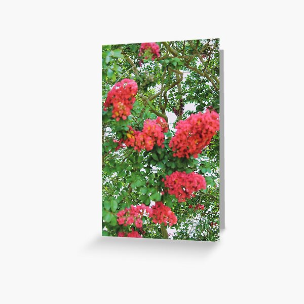 Vista previa del artículo con la obra «Crepe Myrtle XI», diseñado y vendido por Silver Sky by Janet.