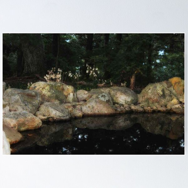 Item preview, Park Pond designed and sold by virginian.