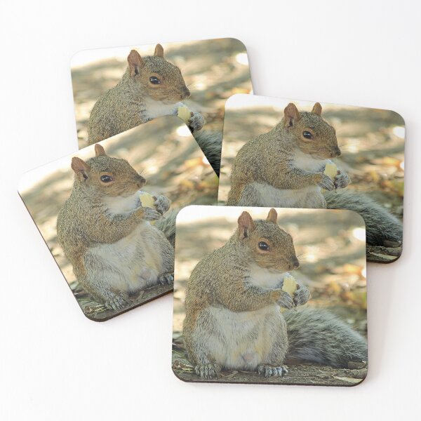 Item preview, squirrel designed and sold by Astralia.