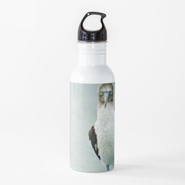 blue-footed booby Water Bottle