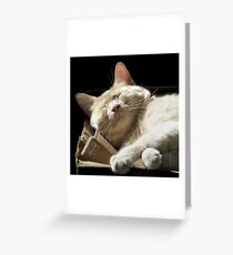 Funny Face Greeting Card