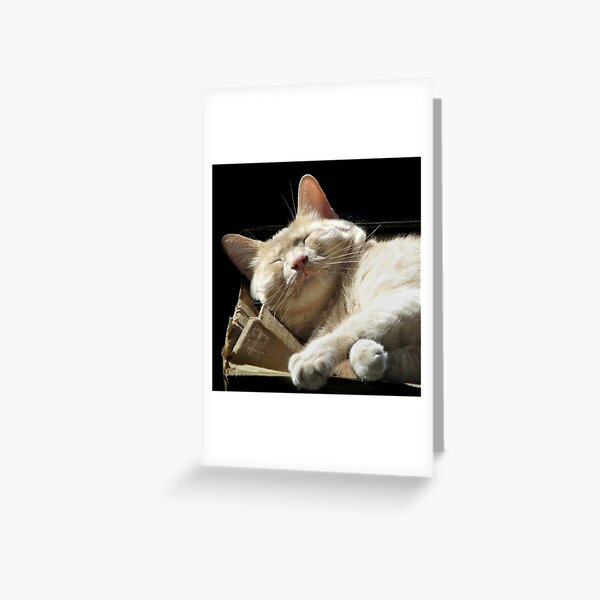Funny Face Greeting Card