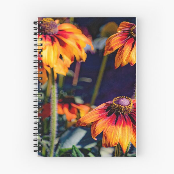 Item preview, If the Sun Were a Flower... designed and sold by therealajjones.