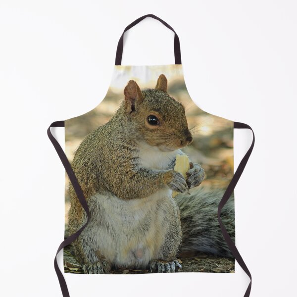 Item preview, squirrel designed and sold by Astralia.