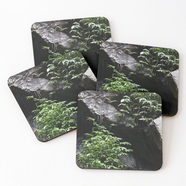 Item preview, Festoon Falls segment, Bunya Mountains  designed and sold by Geoff Treagus.