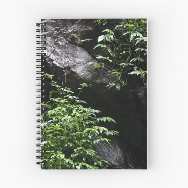 Item preview, Festoon Falls segment, Bunya Mountains  designed and sold by Geoff Treagus.
