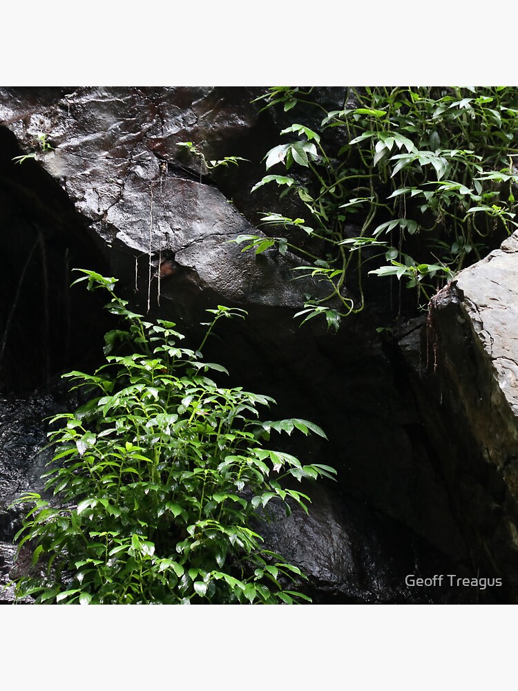 "Festoon Falls segment, Bunya Mountains " Sticker for Sale by GTreagus
