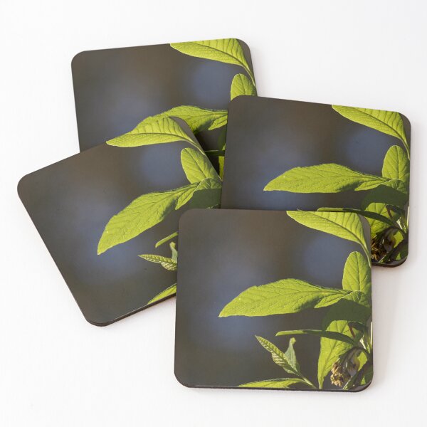 Item preview, Osoberry Leaves and Sunlight designed and sold by couragesings.