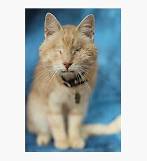 Gumbo against Blue Photographic Print