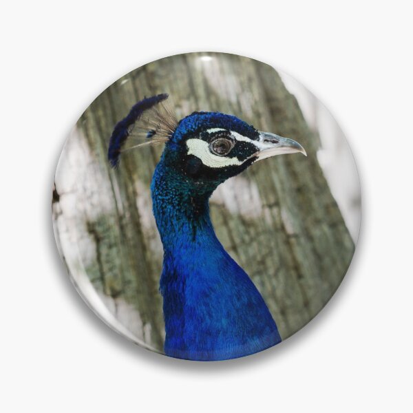 Item preview, peacock profile designed and sold by blacqbook.