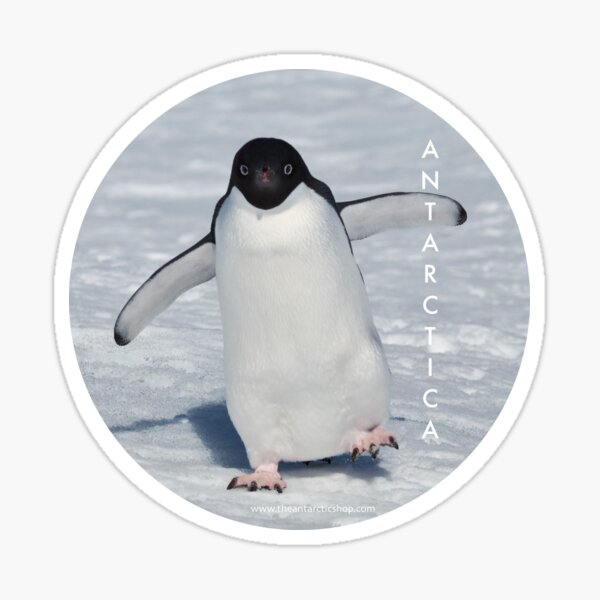 Adelie Love Sticker