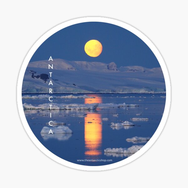 Polar Moonrise Sticker