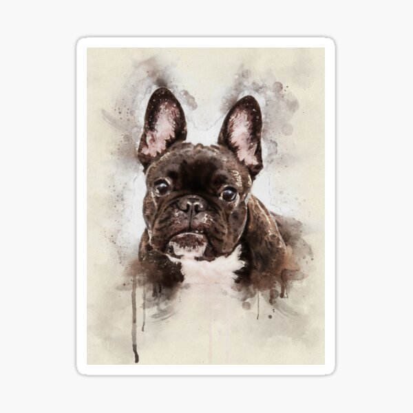 French bulldog portrait Sticker