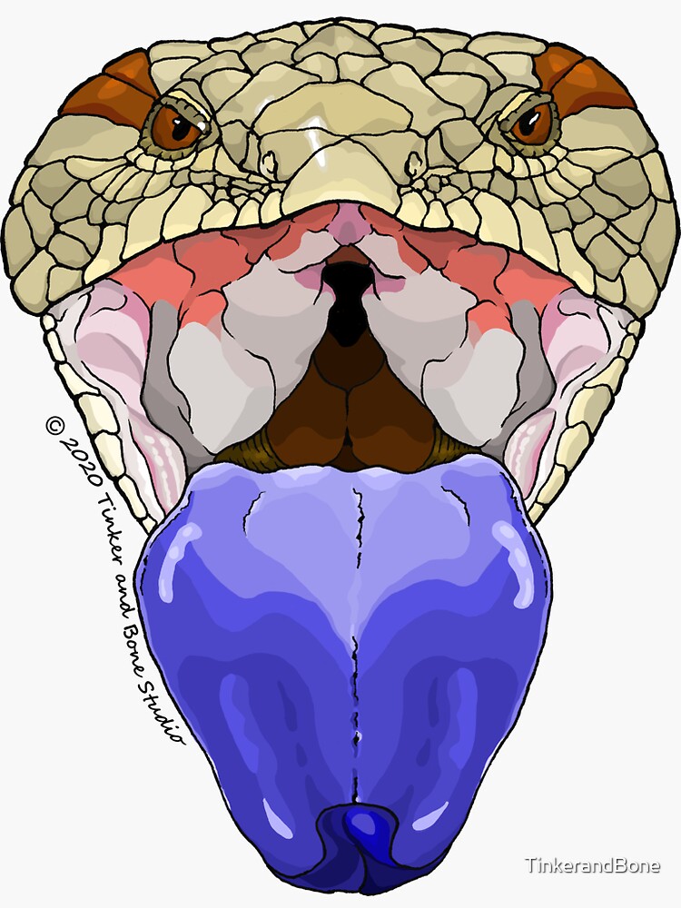 Thumbnail 3 of 3, Sticker, Blue Tongue Skink designed and sold by TinkerandBone.