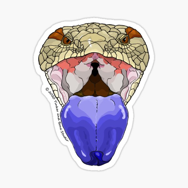 Item preview, Blue Tongue Skink designed and sold by TinkerandBone.