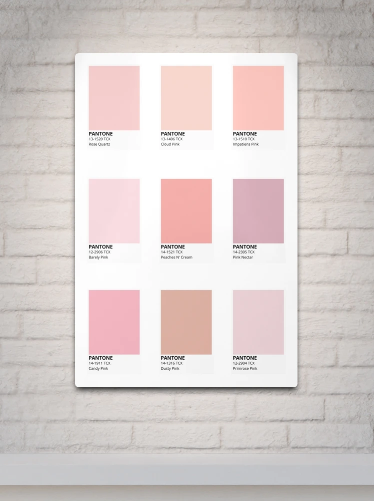 colors — Pantone 12-2906 TCX Barely Pink
