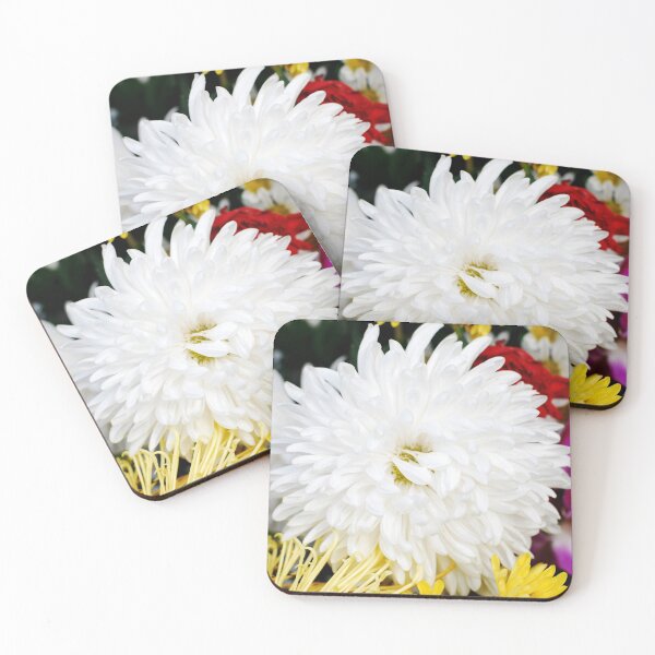 Item preview, SOFT FLUFFY WHITE CHRYSANTHEMUM | Flower Photo designed and sold by PhotoStory.