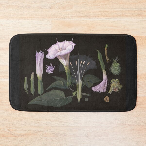 Item preview, Jimson Weed | Datura wrightii designed and sold by Shiere.