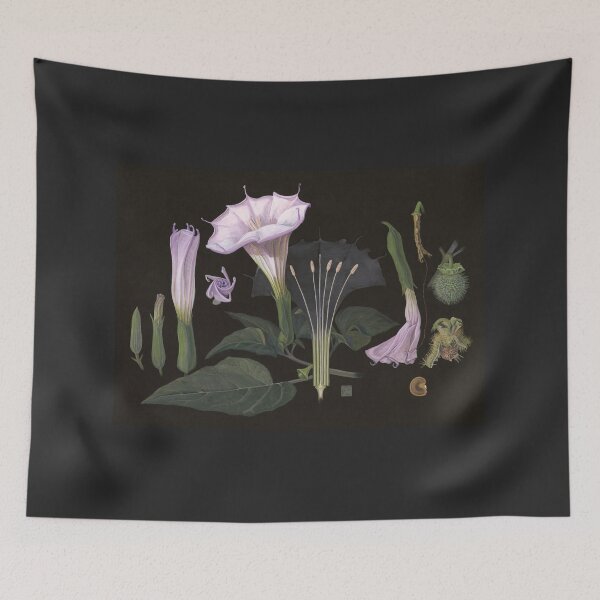Item preview, Jimson Weed | Datura wrightii designed and sold by Shiere.