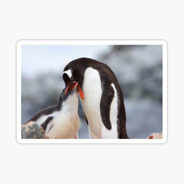 Item preview,  Gentoo Penguin and Chick ~ "Meals Home Delivered" designed and sold by Robert Elliott.