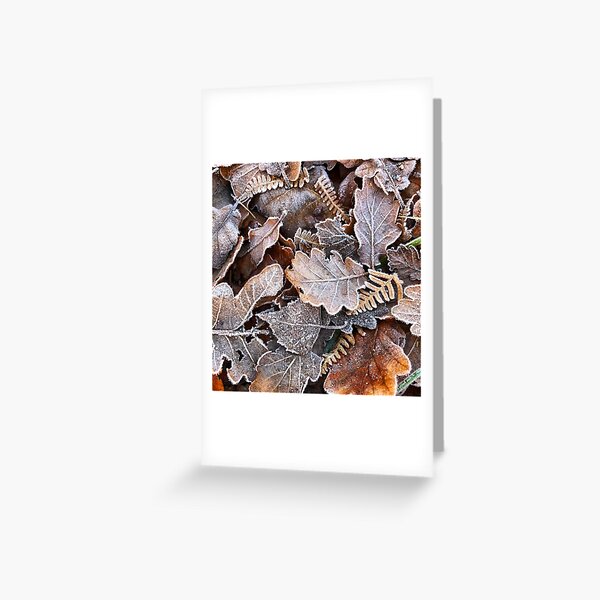 Frosted Leaves Greeting Card