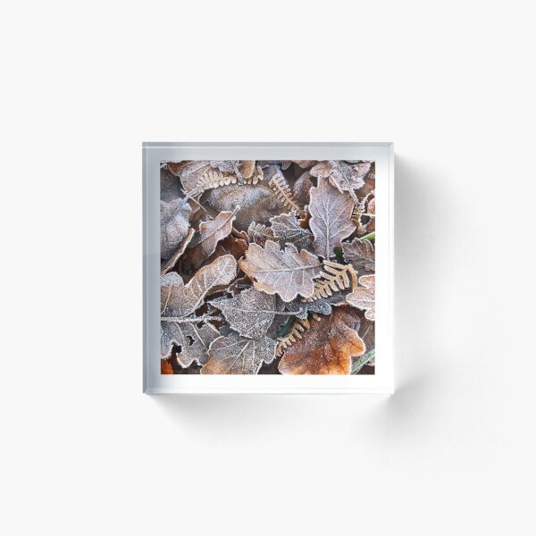 Frosted Leaves Acrylic Block