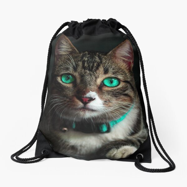 Adorable Brown Cat Drawstring Bag