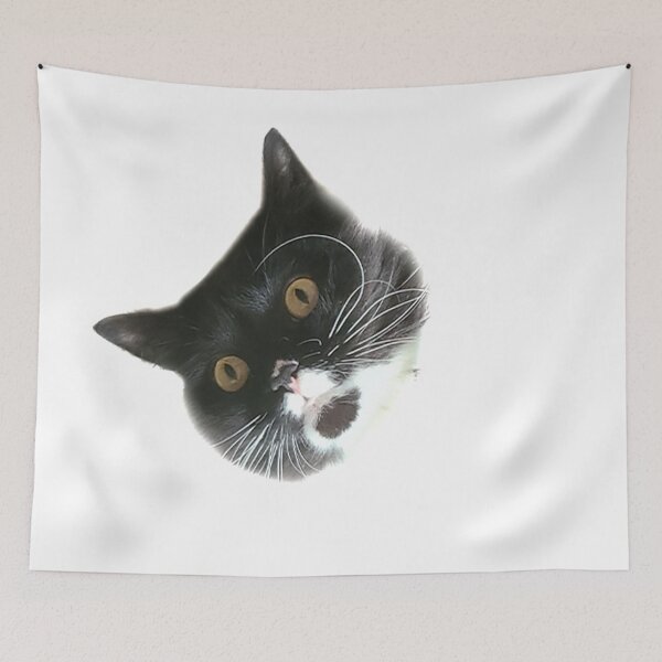 Item preview, Confused Cat designed and sold by BernadetteG.