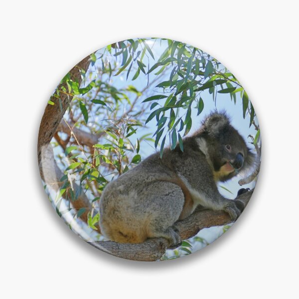 Item preview, Mallacoota Koala designed and sold by Colin Dixon.