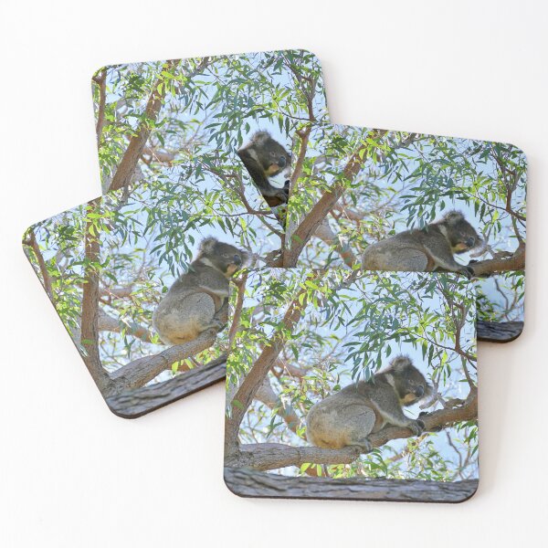 Item preview, Mallacoota Koala designed and sold by Colin Dixon.