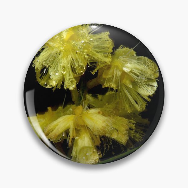 Item preview, Wet Wattle designed and sold by GP1746.