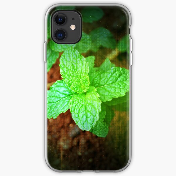 Fresh Mint iPhone Soft Case