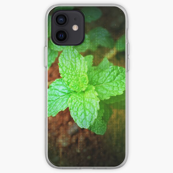 Fresh Mint iPhone Soft Case