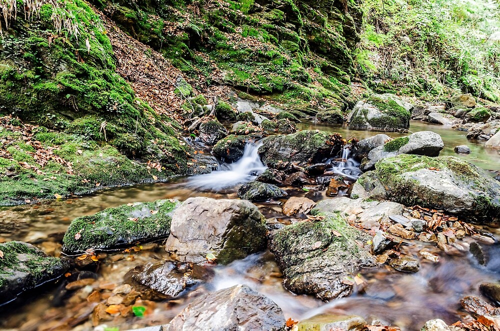 "Litle spring" by Tilyo Rusev | Redbubble