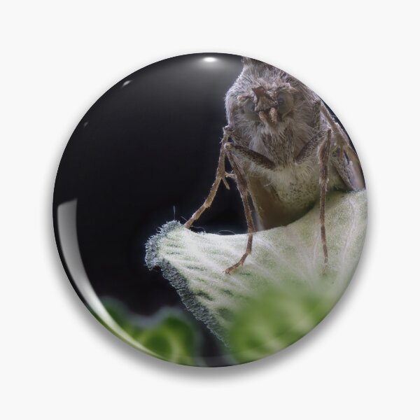 Item preview, Moth macro portrait designed and sold by hendrikspix.