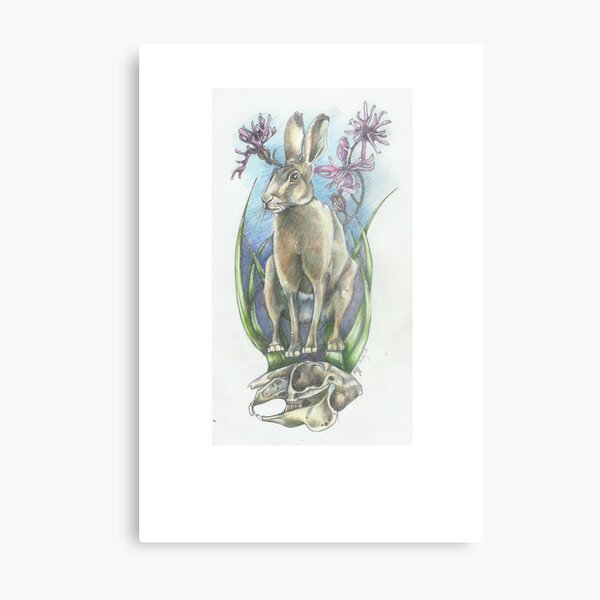 Summer Hare days Metal Print