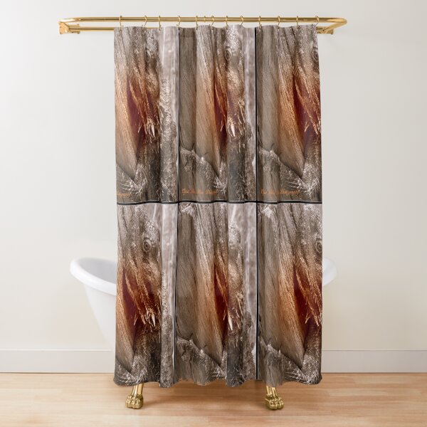 AUSTRALIAN DRAGON LIZARD Shower Curtain