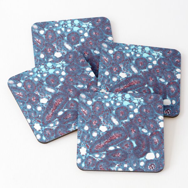 Item preview, Kidney ducts designed and sold by Love Histology.