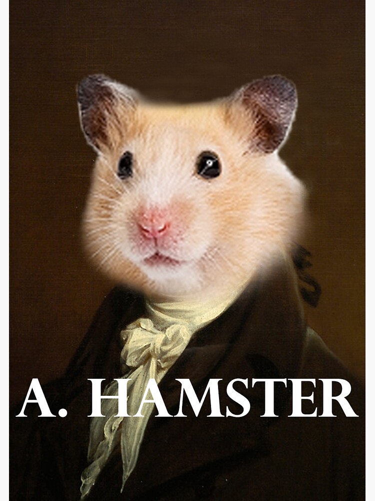 Thumbnail 3 of 3, Sticker, Alexander Hamilton - Hamster designed and sold by imaginedworlds.