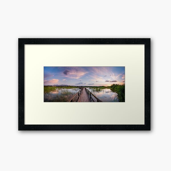 Framed Print