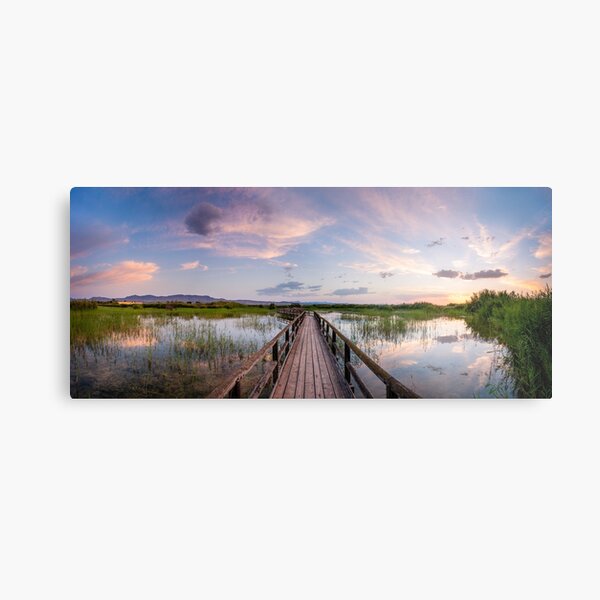 Metal Print