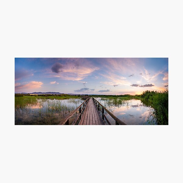 Photographic Print