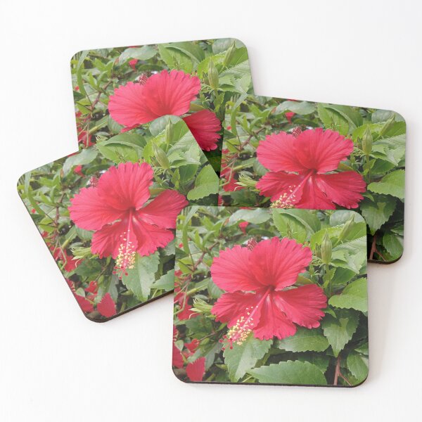 Item preview, red hibiscus flower at my garden designed and sold by basitcv.