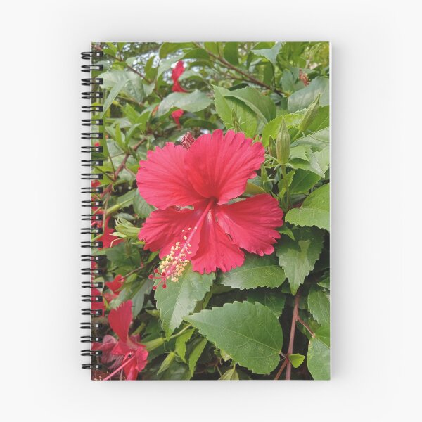Item preview, red hibiscus flower at my garden designed and sold by basitcv.
