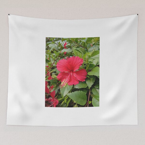 Item preview, red hibiscus flower at my garden designed and sold by basitcv.