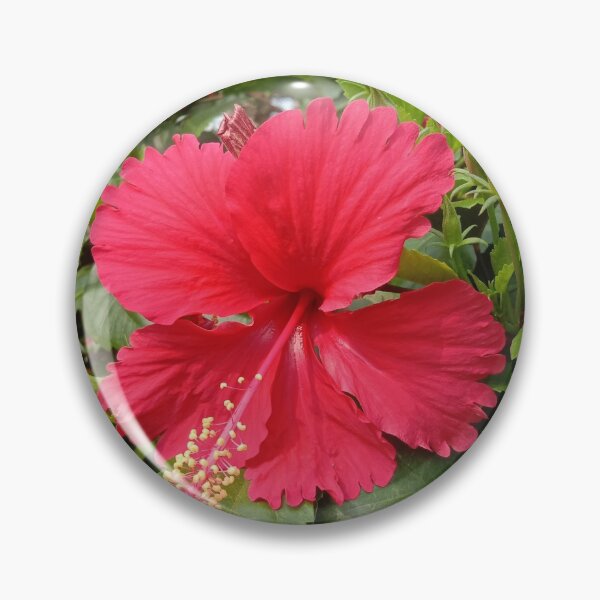 Item preview, red hibiscus flower at my garden designed and sold by basitcv.