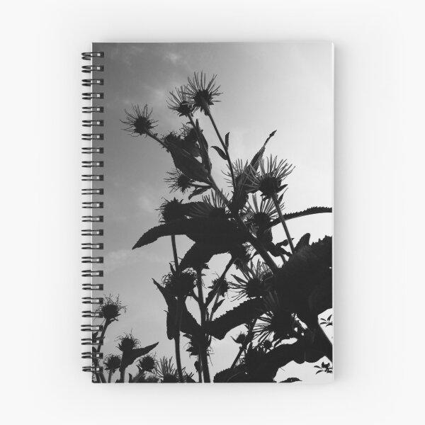 Item preview, Elecampane in flower 1 (monochrome) designed and sold by paulboizot.