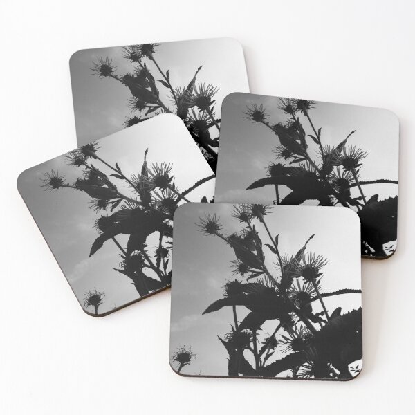 Item preview, Elecampane in flower 1 (monochrome) designed and sold by paulboizot.