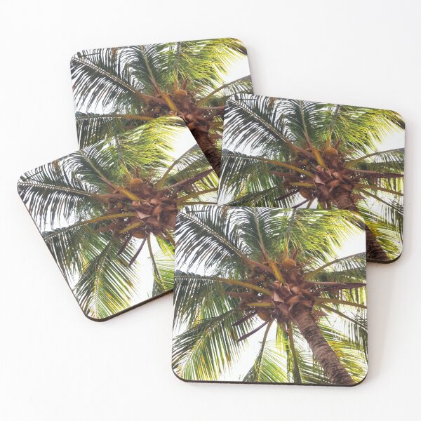 Item preview, Tropical Palm Tree With Coconuts designed and sold by mikels.